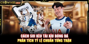 Cách soi kèo Tài Xỉu bóng đá – Phân tích tỷ lệ chuẩn từng trận