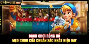 Cách chơi Rồng Hổ – Mẹo chọn cửa chuẩn xác nhất hiện nay