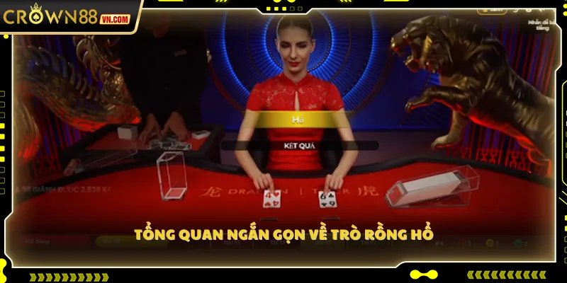 Tổng quan ngắn gọn về trò Rồng Hổ